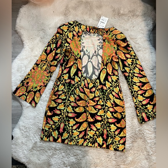 Zara - Picture 4 of 4